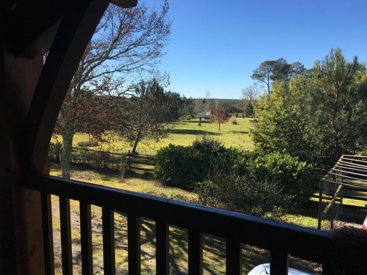 Stemicar Dans Les Landes Apartment Lesperon  Luaran gambar